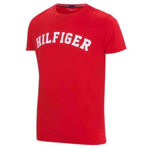 Tommy Hilfiger T-shirts - Shop Tommy Hilfiger T-shirts online her